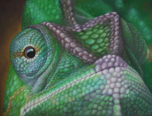 Chameleon Eye