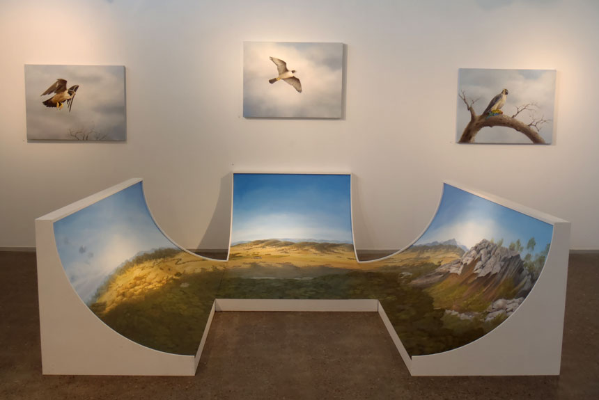 Peregrine-Installation-view