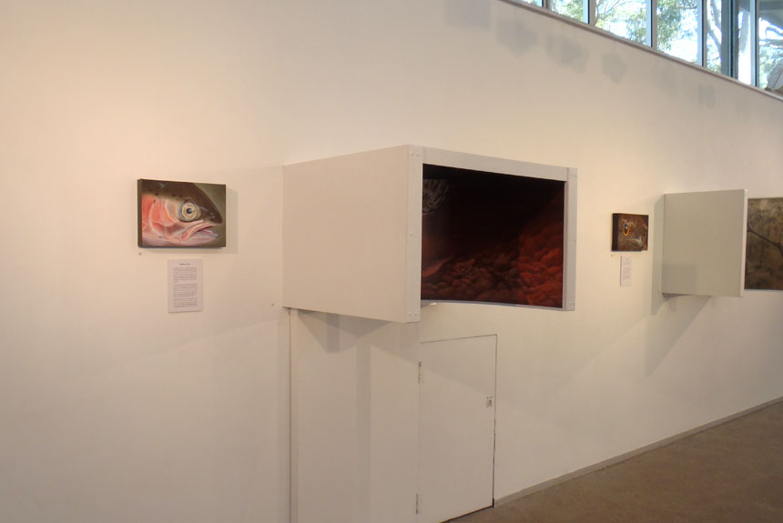 Rainbow-Trout-Installation-view