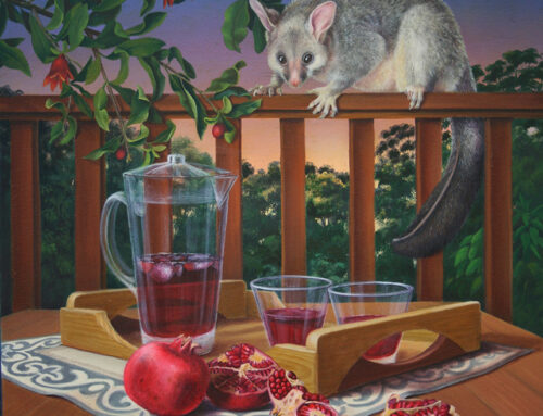 Possum and Pomegranates